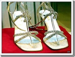 Platinum Guild Stuart Weitzman heels