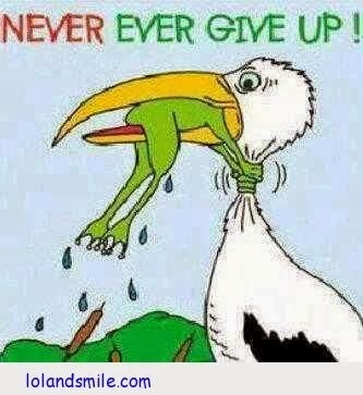 [Never-Give-Up%255B3%255D.jpg]