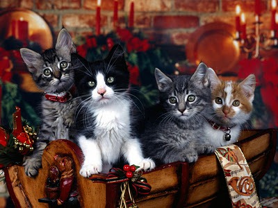[wallpapers%2520navidad%2520%252819%2529%255B2%255D.jpg]