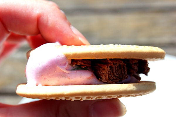SMores Easter style