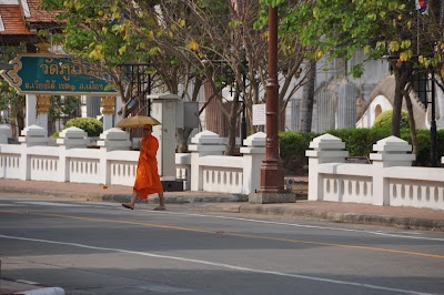 DSC_0470.JPG