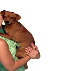 Wallpapers De Kaley Cuoco Foto 8