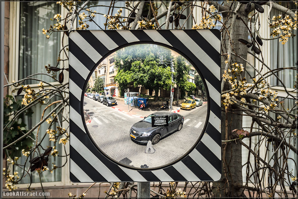 Отражения Израиля | LookAtIsrael.com - Фото путешествия по Израилю