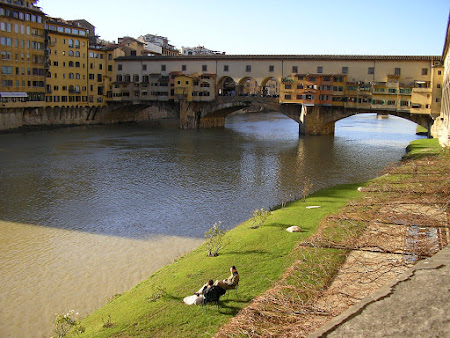Imagini Italia: Ponte Vecchio Florenta
