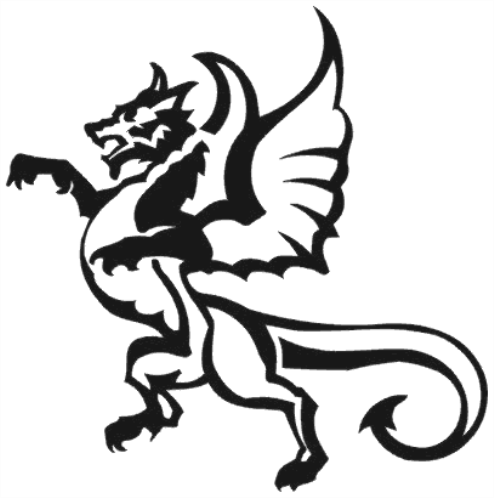 dragon_tattoo_designs (20)