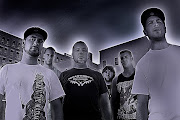 Despised Icon