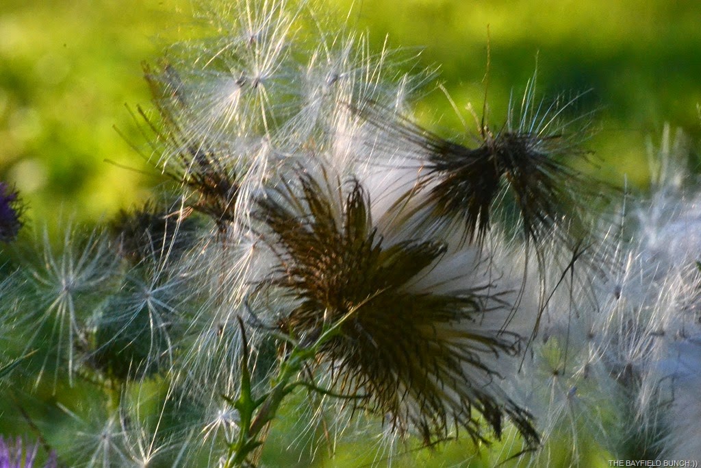 [DSC_0040%255B9%255D.jpg]