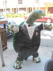 Florida Venice decorated tux turtle front1