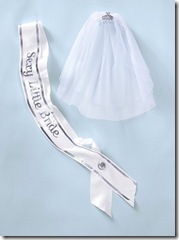 bride sash and veil