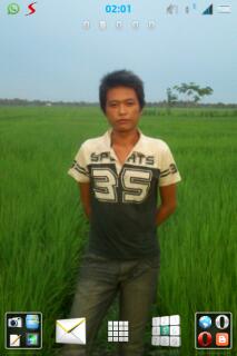 Stasus Bar Transparan