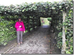 levens hall garden tunnel and me