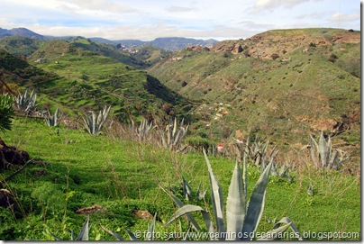 4450 La Atalaya-Barranco García Ruíz 4450 La Atalaya-Barranco García Ruíz