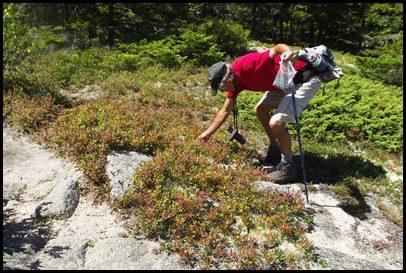 Bubbles Hike 101