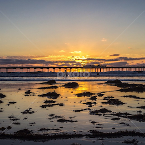 by Roman Gomez - Instagram & Mobile Instagram