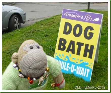 Dog Bath While You Wait