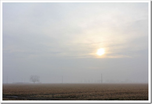 130109_foggy_morning