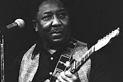 Muddy Waters