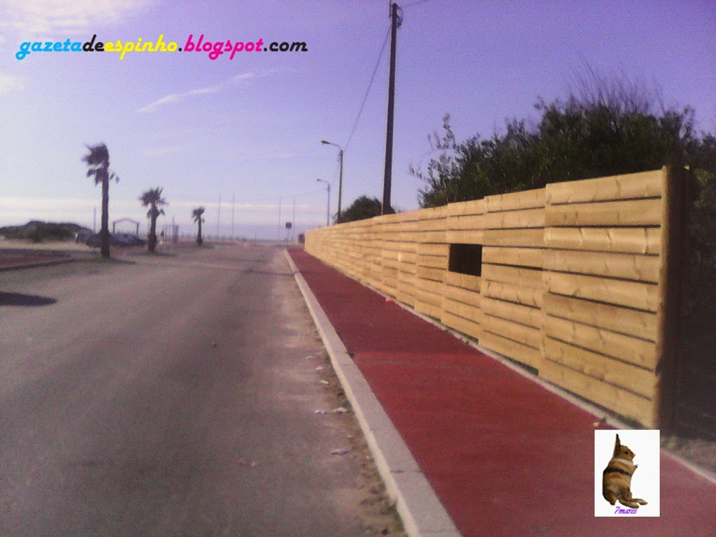 [Gazeta%2520de%2520Espinho002-20150128%255B3%255D.jpg]