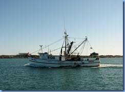 6988 Texas, South Padre Island - Osprey Cruises - Sea Life Safari  -  shrimper 'Mr. Mac'
