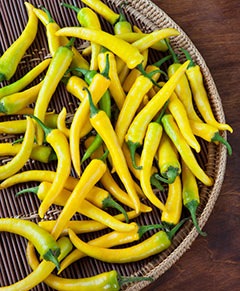 [Pepper%2520Cayenne%2520Gold1%255B2%255D.jpg]