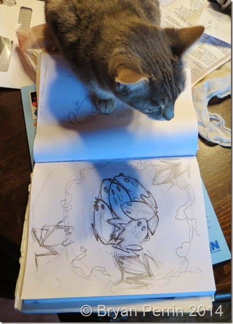 cat shadow on toad sketch journal