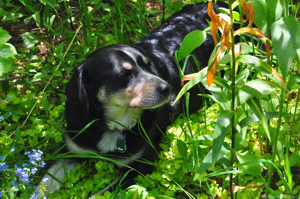 [DSC_0020%255B4%255D.jpg]