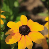 noch n bisserl größer