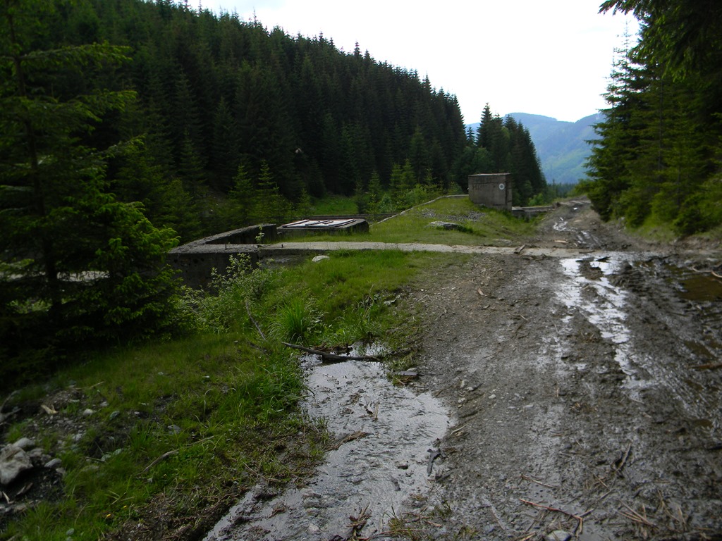 [DSCN16143.jpg]