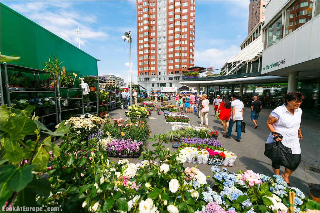 LookAtEurope.com - Роттердам | The Netherland, Rotterdam