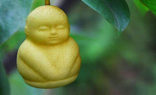 MagiDeal Fruit Growing Mould Wachsende Buddha Form Gemüse Fruit Mould # 8 