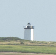 Provincetown Lighthouse taken across the marsh3