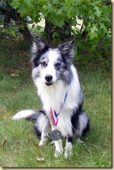 Dandy-Team Silver Medal-May2011