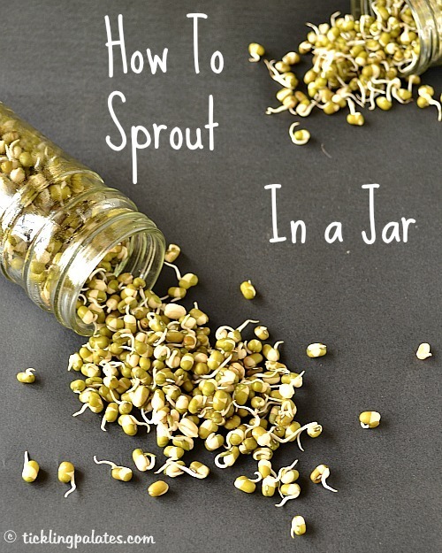 How to sprout in a jar