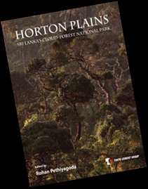 Horton-front Horton-front