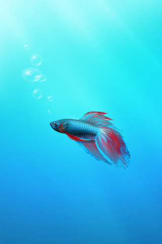 3201183469_6a51ce4da4