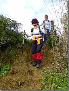 P1070847 P1070847
