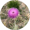 Melissa jennings profile picture