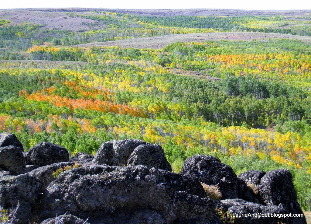 [Fall-color-on-Steens-Mountain3.jpg]