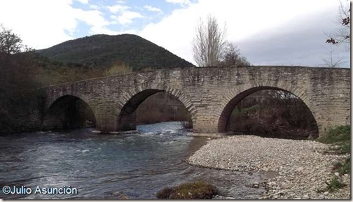 Puente de Sorauren - Navarra