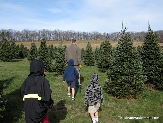 Skylark Christmas Tree Farm | The Meanest Momma