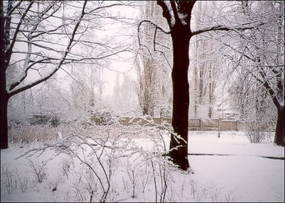 [Winter2%255B3%255D.jpg]