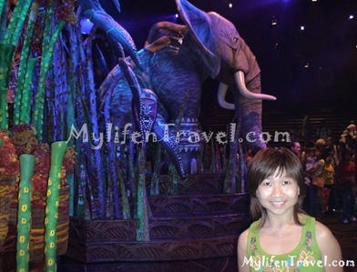 Lion King Disneyland HK 38 Lion King Disneyland HK 38