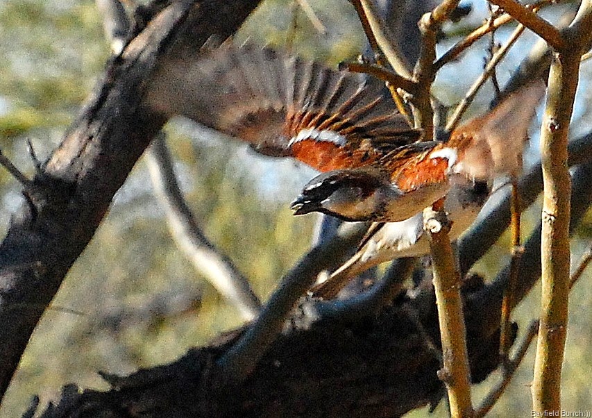 [DSC_2753%255B7%255D.jpg]