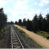 Die Bäume werden schon kleiner