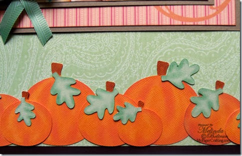 pumpkins closeup-480