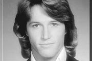 Andy Gibb