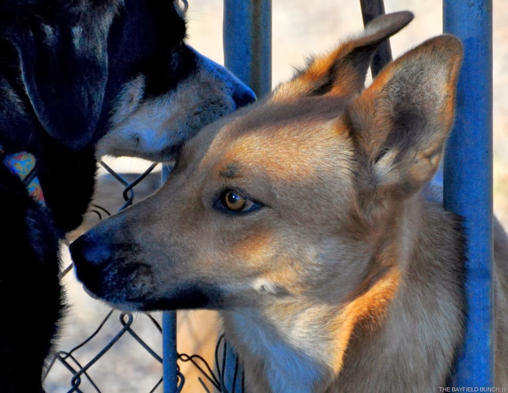 [DSC_0016%255B3%255D.jpg]