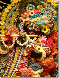 Lord Krishna Lord Krishna