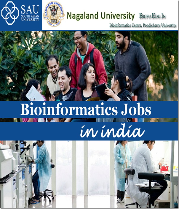 phd bioinformatics jobs india