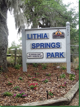 At Lythia Spring 005